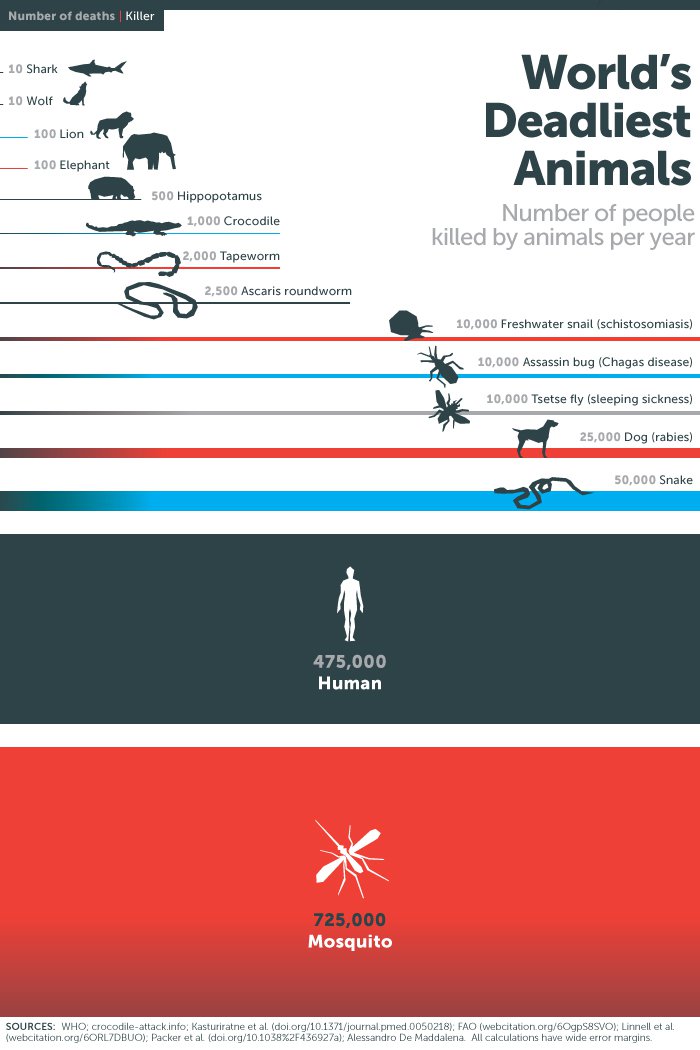 infographic-malaria-viraal-content